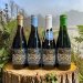 Hop Hooligans Brewery Bundle 4 Bottles. 