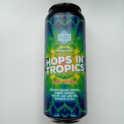 Raduga Hops In Tropics DDH NEIPA - 500ml - 6,3% - GUN Speciaalbieren