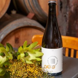 Wildflower - St Henry 2023: Apricot - The Beer Barrel