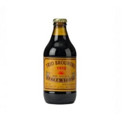 Trio Brouwerij Extra Stout 33cl - Hellobier