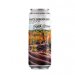 PINTA HAZY DISCOVERY CALEDON HAZY IPA 6,5% 0,50L PUSZKA 