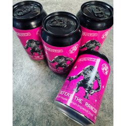 NEON RAPTOR BREWING CO. DEFEAT THE RANCOR PECAN MAPLE DANISH IMPERIAL STOUT 13% 330ml - The Beer Shelf