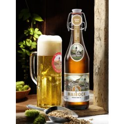 Kössel Bräu Mariahilfer Maibock hell / Starkbier hell