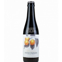 Trillium Fated Farmer Apricot 33cl - Beergium