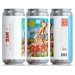 ISM Brewing 2SM 16oz can 