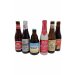 Award Winners Belgian Beer Mixed Case 