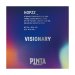 Hopzz_ Visionary Pinta Hopzz_ Visionary Pinta