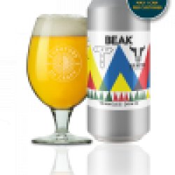 Beak Brewery Triangles (x Track x Rivington) - Curators of Craft