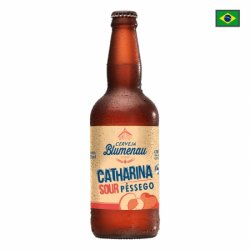 Cerveja Blumenau Catharina Sour - Sun of a Peach