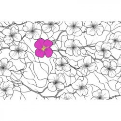 Popihn DIPA DDH - STRATA / NELSON SAUVIN / CITRA