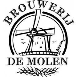 De Molen - Bommen & Granaten Barley Wine 11% 330ml - APOD Liquor