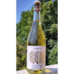 Ramborn Garden Perry- Sparkling Fine Perry 75cl - Cideris