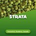 Hop pellets Strata 100 g 