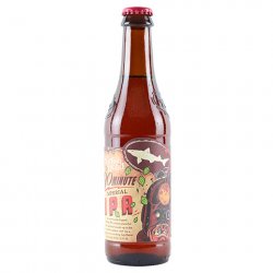 Dogfish Head 90 Minute IPA - CraftShack