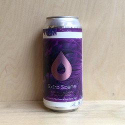 Polly's Brew Co. 'Extra Scene' IPA Cans - The Good Spirits Co.