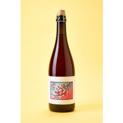 Popihn Sauvages Cerise Framboise 2023 - Buvance