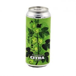 Tree House Brewing Company Evolution of Citra Part One