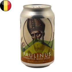 Hophemel  Paulinus Pineapple Mint Sour - Beer Vikings