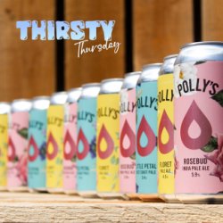 Polly’s Thirsty Thursday Bundle 24-pack - Polly’s Brew Co.