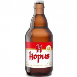 Hopus 33Cl - Cervezasonline.com