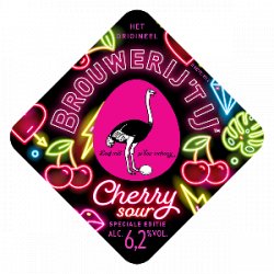 ‘t IJ Ginger Cherry Sour - Bierwinkel de Verwachting