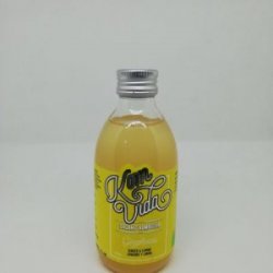 KOMBUCHA KOMVIDA GINGERVIDA 24UD25CL - Abeerzing