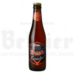 Bush Caractère