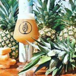 Beer Tree PineApple Creamsicle - Bierwinkel de Verwachting