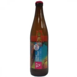 Funky Fluid  Citrus Free Crazy 50cl - Beermacia