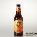 Gulpener  Zwarte Ruiter 0,3% IPA Alcoholvrij 30cl 
