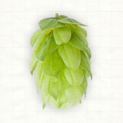 Deutschland Hersbrucker Pellets Typ 90 - Hopsteiner