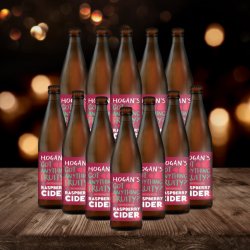 Hogan's High Sobriety Raspberry British Cider 330ml Bottles - 0.50% ABV (12 Pack) - Beerhunter