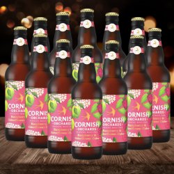 Cornish Orchards British Raspberry &amp; Elderflower Cider 500ml Bottles - 4.00% ABV (12 Pack) - Beerhunter