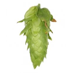 Lúpulo Cascade Hopsteiner x 100 grs - The Craft Drinks Lab