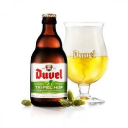 Duvel Tripel Hop - Belgian Craft Beers