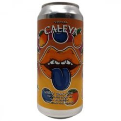 Caleya  Fruit Smooch Blueberry, Tangerine & Mango 44cl - Beermacia