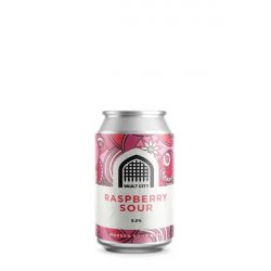 Vault City Brewing Raspberry Sour