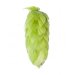 Lúpulo Perle Hopsteiner 5 Kg 