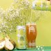 Vault City Pear & Elderflower Table Sour Cans 