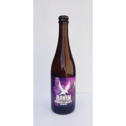 Raven Summer Galaxy 11° - Pivní ochutnávka