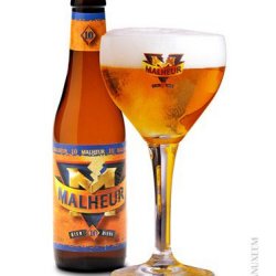 Malheur 10 10,0% 33 cl - Trappist.dk - Skjold Burne