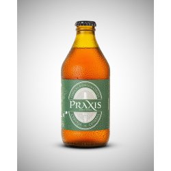 Praxis IPA