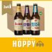 BUDELS HOPPY BOX - 4X3 30CL BUDELS HOPPY BOX - 4X3 30CL