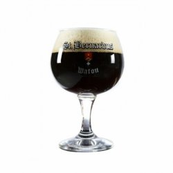 Verre St Bernardus Watou 25 cl - RB-and-Beer