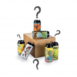 Mystery Box - Birra del Bosco