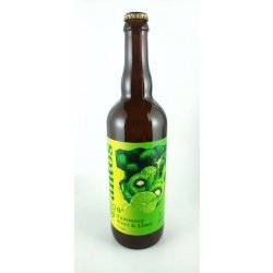 Antoš Summery Kiwi & Lime Gose 9° - Pivní ochutnávka