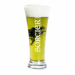 Verre Bière du Sorcier 25 cl - RB-and-Beer