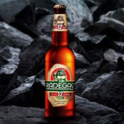 Radegast Radegast Ryze hořká 12