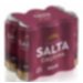 Salta Cautiva Roja Lata 473cc -Pack x 6 UD Salta Cautiva Roja Lata 473cc -Pack x 6 UD