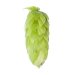 Lúpulo Perle Hopsteiner 5 Kg Lúpulo Perle Hopsteiner 5 Kg